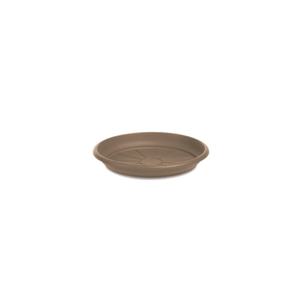 SOTTOVASO MEDITERRANEO D. 16 TORTORA