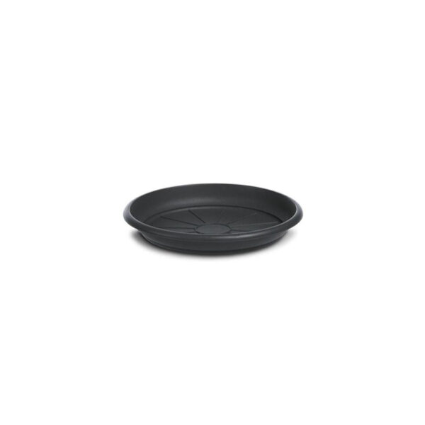 SOTTOVASO MEDITERRANEO D. 20 ANTRACITE