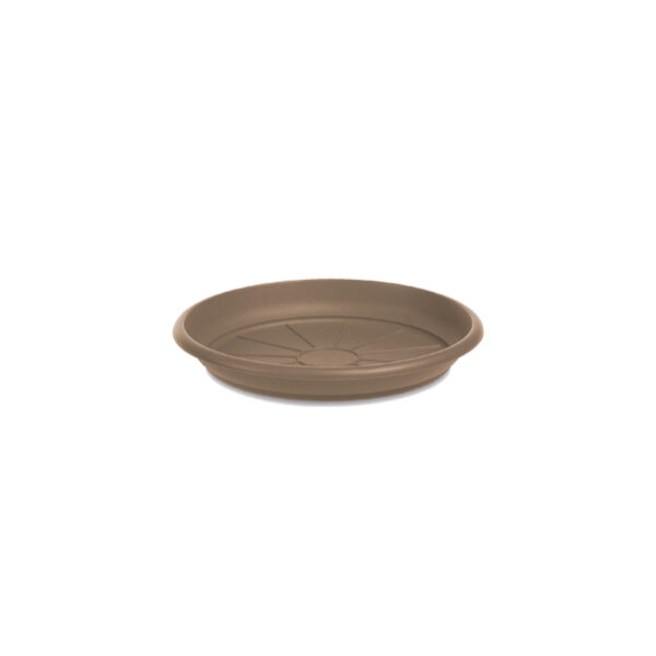 SOTTOVASO MEDITERRANEO D. 22 TORTORA