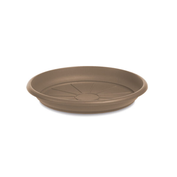SOTTOVASO MEDITERRANEO D. 33 TORTORA