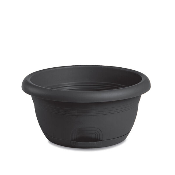 CIOTOLA CAPRI C/RISERVA D'ACQUA D. 30 ANTRACITE